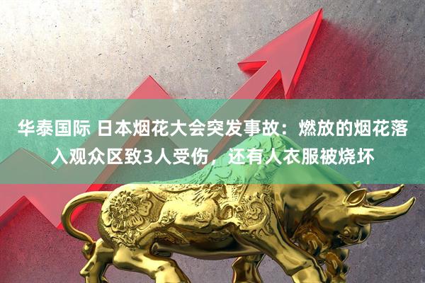 华泰国际 日本烟花大会突发事故：燃放的烟花落入观众区致3人受伤，还有人衣服被烧坏