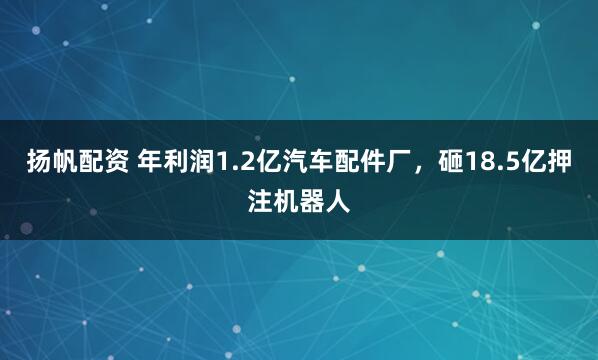 扬帆配资 年利润1.2亿汽车配件厂，砸18.5亿押注机器人